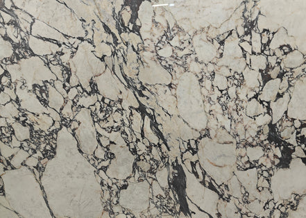 Marble - Calacatta Viola - Polished