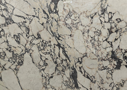 Marble - Calacatta Viola - Polished
